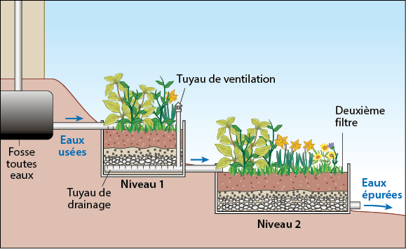 Schéma d'un système de phyto-épuration à deux niveaux