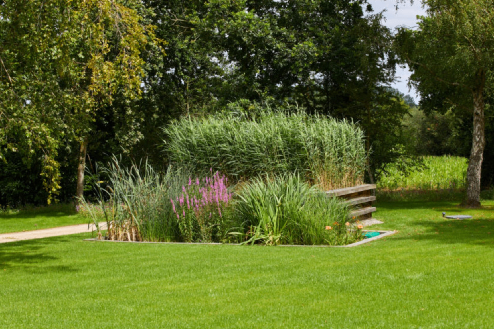 Jardin de phyto-épuration intégré au paysage